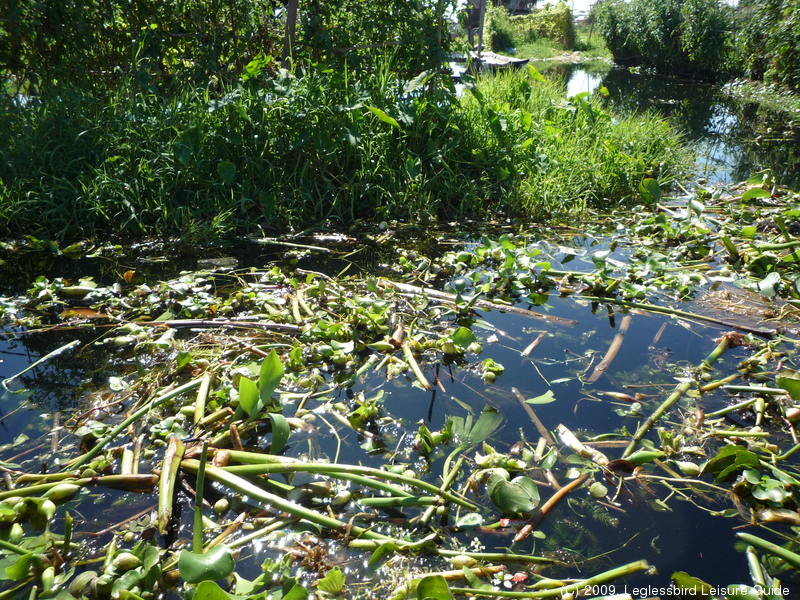 Inle Lake33
